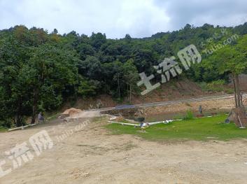 惠州龙门县2000亩其它林地经营权出租