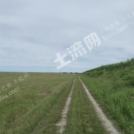 长春农安县 1500亩 旱地 经营权转包