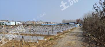 直辖行政单位仙桃市 15亩 旱地 经营权出租