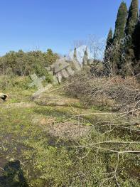 吉安青原区 39.46亩 水田 经营权出租