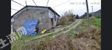 南充西充县 4.22亩 农场 使用权出租