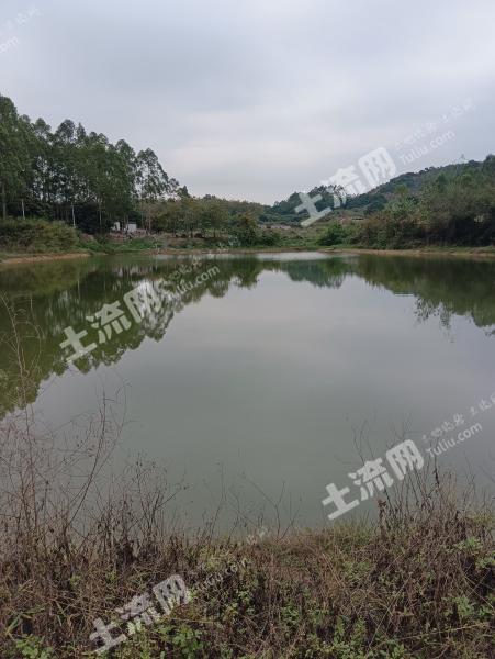 广州增城区 18亩 坑塘水面 经营权出租