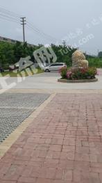 梧州藤县 3363平方米 零售商业用地 使用权转让