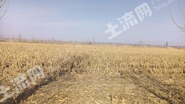 武威古浪县 2700.73亩 水浇地 经营权出租