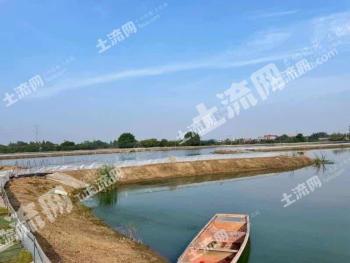 芜湖弋江区 229.73亩 水田 经营权出租