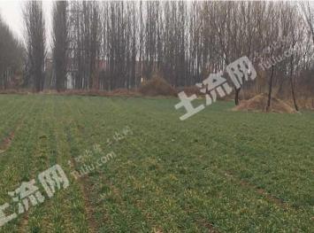 潍坊诸城市8亩耕地-水浇地经营权出租