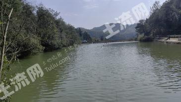 杭州富阳区6亩水库水面经营权转让