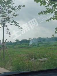 肇庆怀集县 2000亩 其它林地 经营权出租