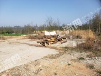 广元苍溪县 51.04亩 设施农用地 经营权出租