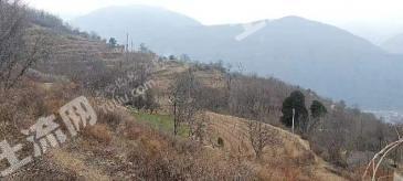 宝鸡凤县 14.29亩 空闲地 使用权合作