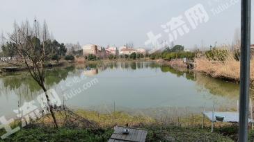 武汉东西湖区 40亩 农家庭院 使用权转让