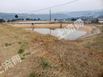 广元苍溪县 89.8亩 坑塘水面 经营权出租
