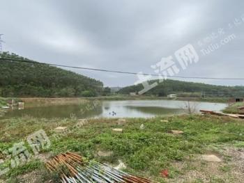 茂名茂南区 90亩 坑塘水面 经营权出租