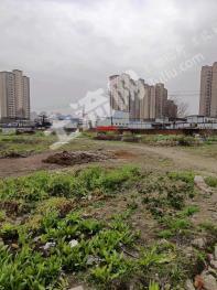 岳阳岳阳楼区 11亩 其它商服用地 使用权转让