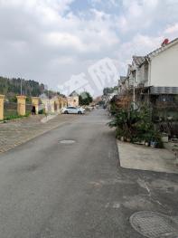 德陽旌陽區(qū) 95平方米 農(nóng)村宅基地 使用權(quán)出租