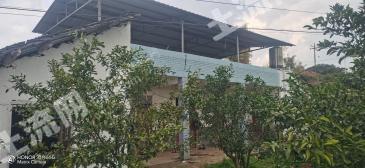 眉山東坡區(qū) 1.2畝 農(nóng)村宅基地 使用權(quán)出租