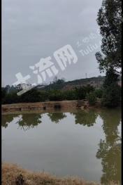 宜昌枝江市 30亩 农家庭院 使用权转让