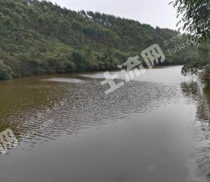 钦州钦南区 30亩 坑塘水面 经营权转让