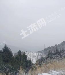 绵阳梓潼县 980亩 其它林地 经营权出租