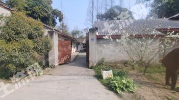 眉山彭山區(qū) 500平方米 農(nóng)村宅基地 使用權(quán)出租