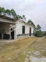 玉林陆川县 4亩 农家庭院 使用权出租