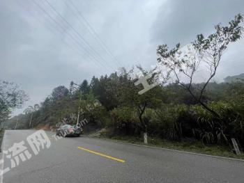 清远佛冈县220亩其它用房-农场使用权转让