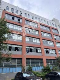 上海金山区 5200平方米 厂房 使用权转让