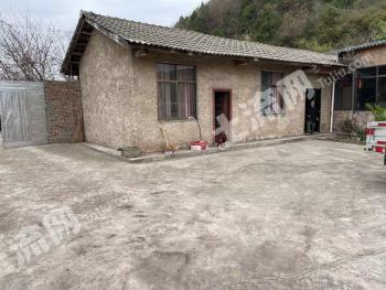 廣元蒼溪縣 3.75畝 農(nóng)村宅基地 使用權(quán)出租