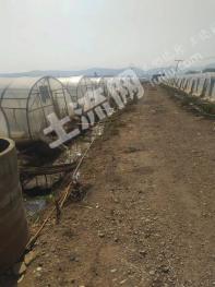 玉溪江川区 36亩 旱地 经营权出租