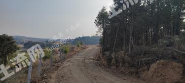 曲靖马龙区 700亩 其它林地 经营权出租