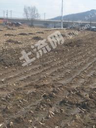吉林龙潭区 50亩 旱地 经营权出租