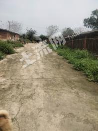 玉林兴业县 100亩 设施农用地 经营权出租