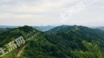 滨州邹平市 1066.49亩 荒山 使用权出租