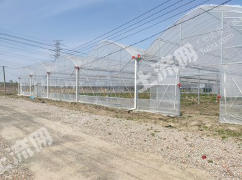 上海青浦区 28亩 水浇地 经营权出租