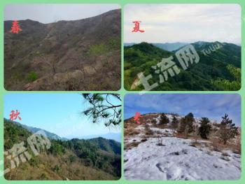 滨州邹平市 1200亩 荒山 使用权出租