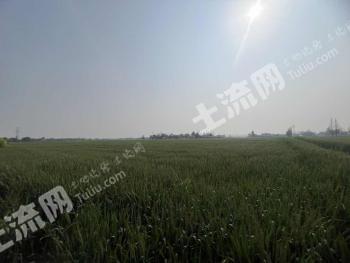 德阳广汉市 400平方米 农村宅基地 使用权出租