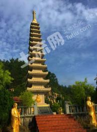 厦门同安区 200亩 其它林地 经营权转让