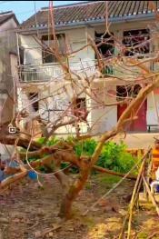 上海青浦區(qū) 300平方米 農(nóng)村宅基地 使用權(quán)合作