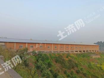 乐山夹江县 2.5亩 设施农用地 经营权出租