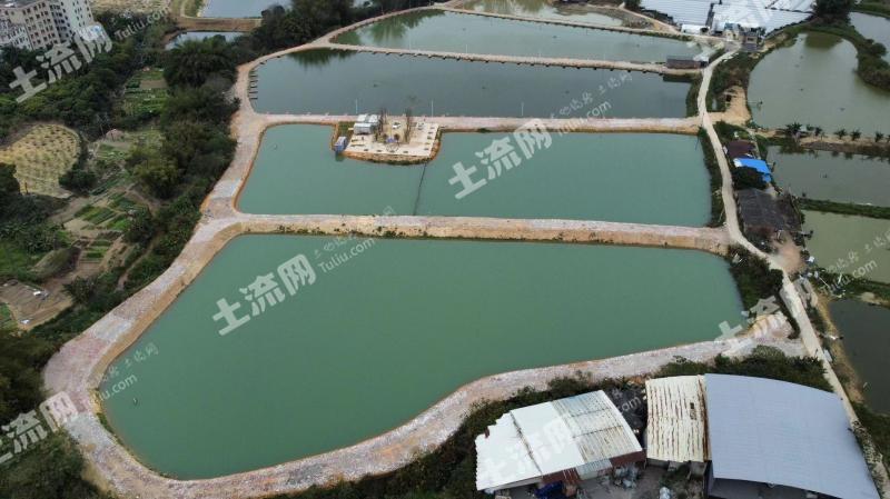 广州花都区 34.17亩 坑塘水面 经营权出租