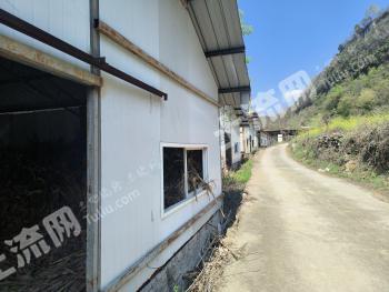 安顺普定县 22亩 设施农用地 经营权出租