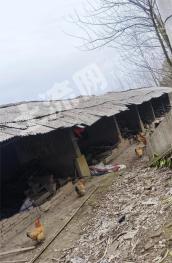 常德武陵区 1.15亩 农村宅基地 使用权出租