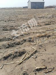 农村宅基地使用权出租。