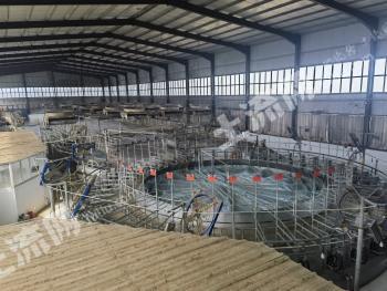 保定清苑区 208.21亩 农场 使用权出租