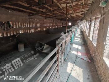 邯郸磁县 10.38亩 农场 使用权出租