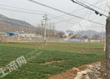 枣庄山亭区 1050平方米 农场 使用权出租