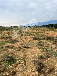 桂林恭城瑶族自治县 110亩 灌木林地 经营权出租