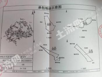 朔州平鲁区 22亩 旱地 经营权出租