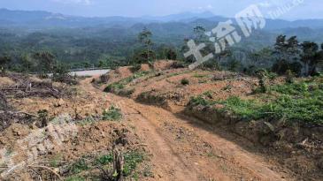 海南琼中黎族苗族自治县 93亩 其它林地 经营权转让