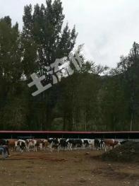 承德兴隆县 8亩 设施农用地 经营权出租